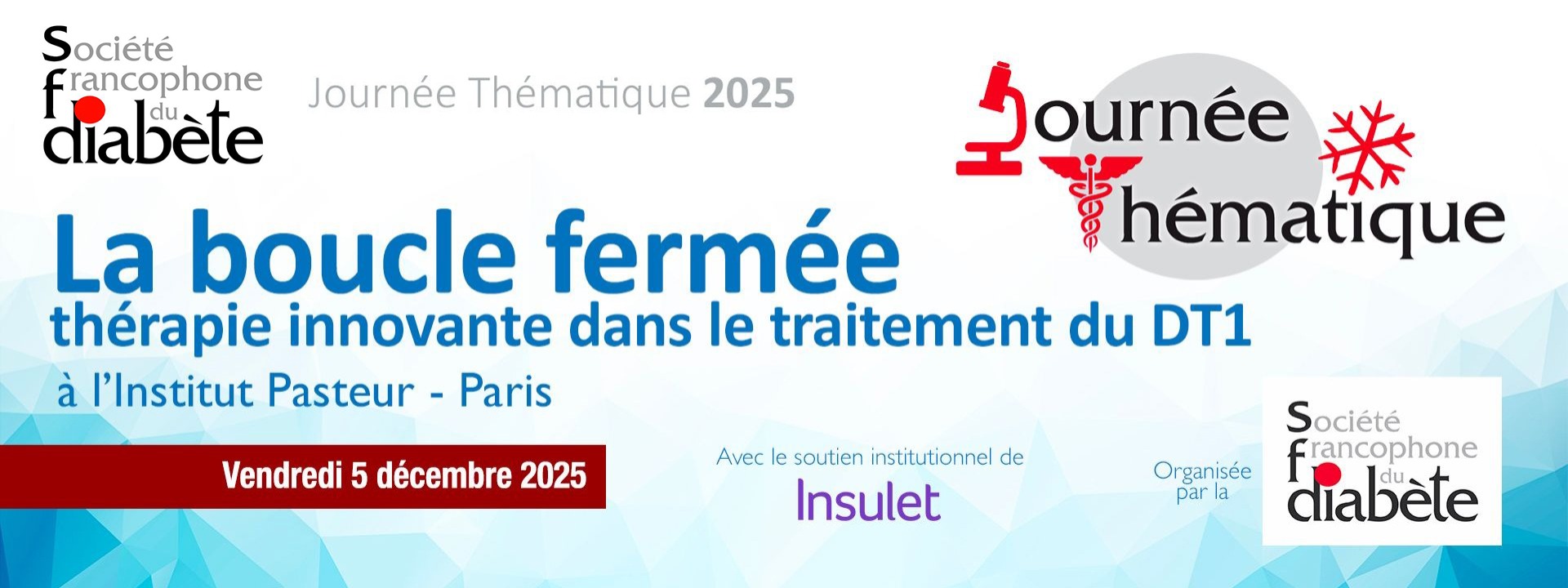 Journée Thématique SFD 2025 cover image