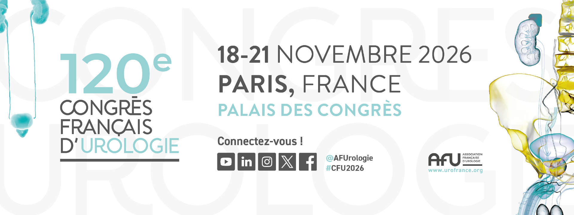 26CFU (DC) cover image