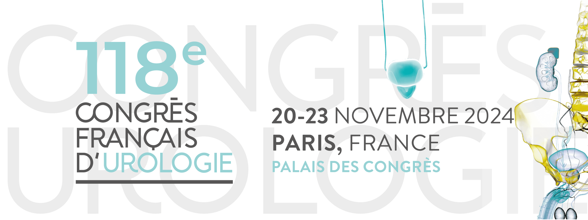 24CFU (DC) (copy) (copy) cover image